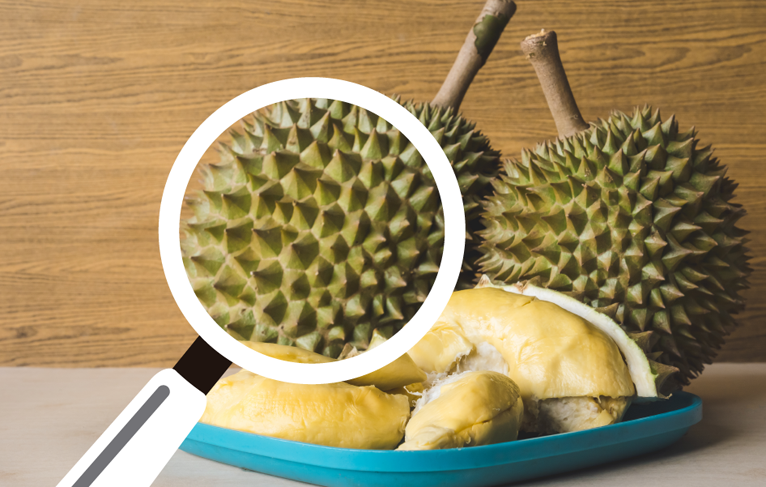 Pungent Durian Mystery