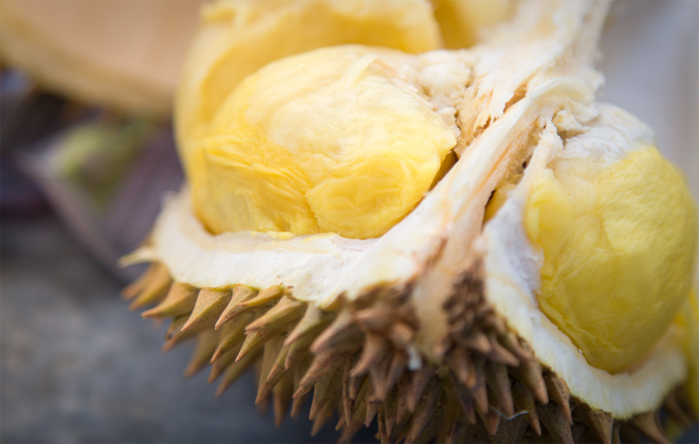 Benefits of eating durian the king of fruits