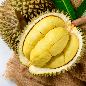 The King of Durian Moh Shan Wang
