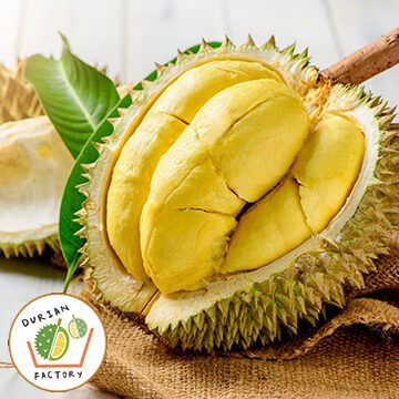 Durian Factory in Singapore